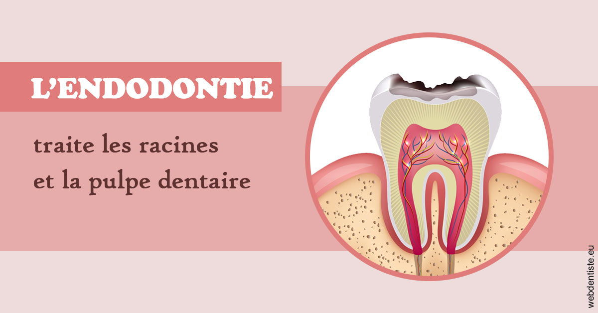 https://selarl-dr-robbiani-eric.chirurgiens-dentistes.fr/L'endodontie 2